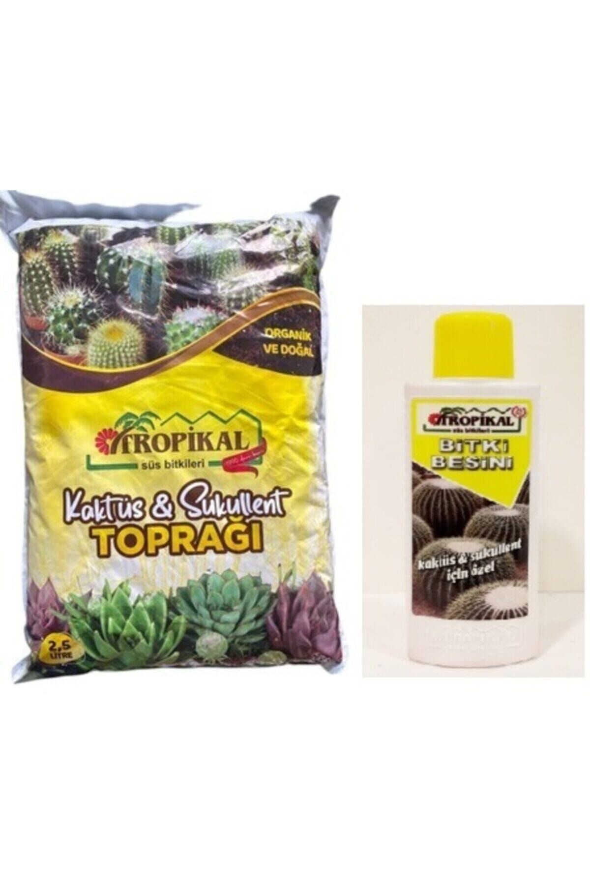 Kaktüs Sukulent Özel Toprak Karışımı+500 ml. Özel Bitki Besini