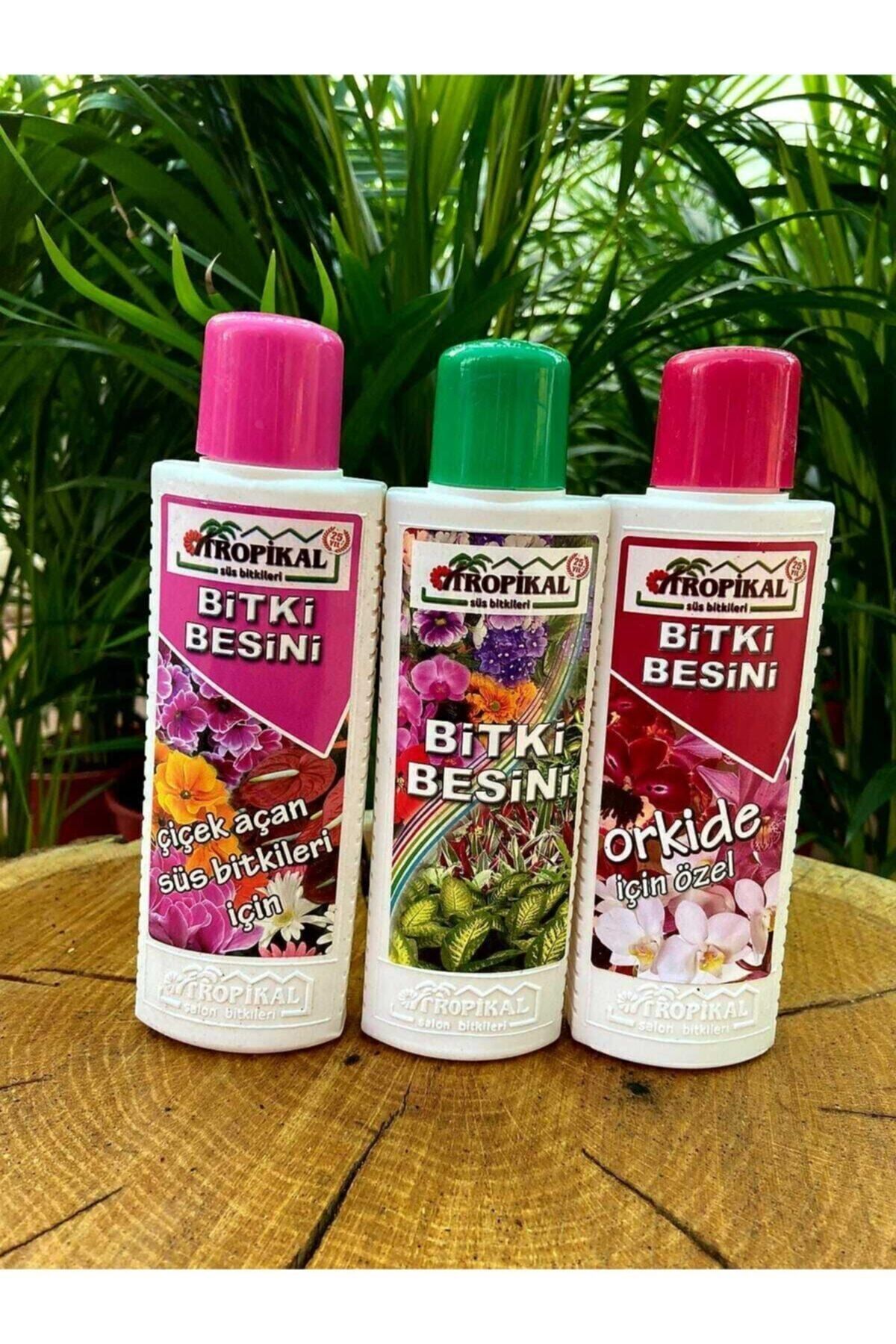 Bitki Besini 3'lü Set