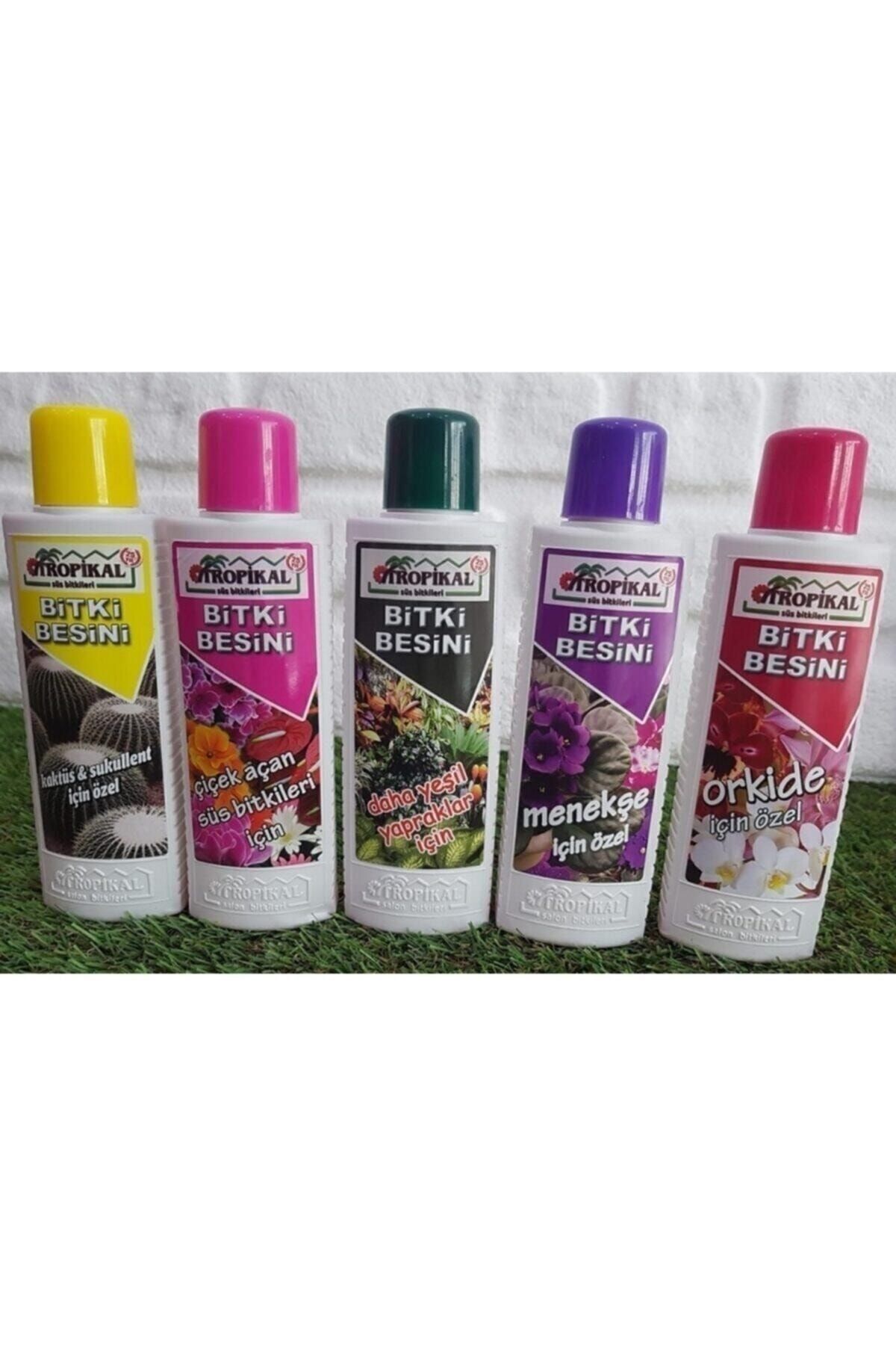 5li Bitki Besini Seti Orkide Kaktüs Sukulent Menekşe Çiçek Açan Yeşil Bitkiler Gübresi