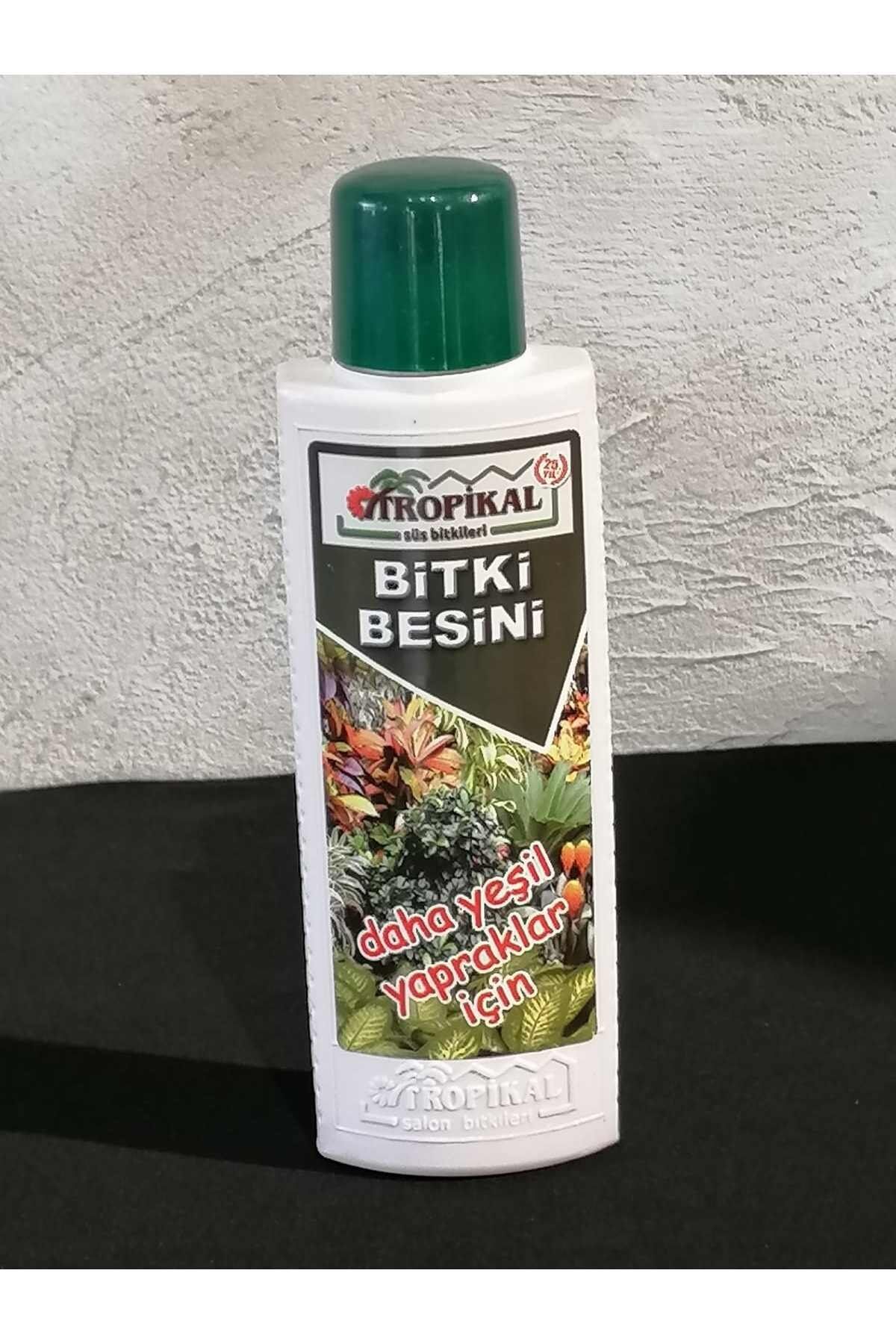 Yeşil Yapraklı Bitki Besini