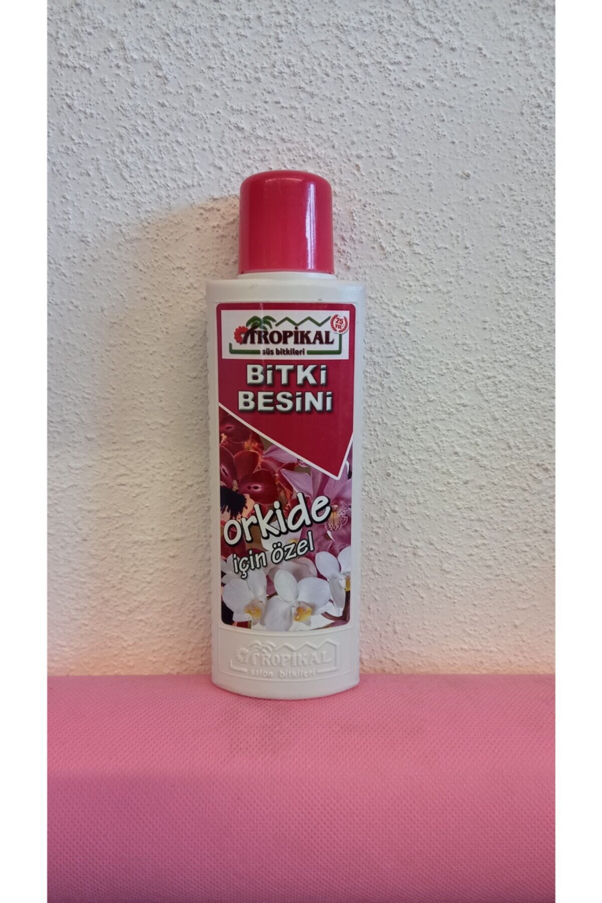 Orkide Bitki Besini