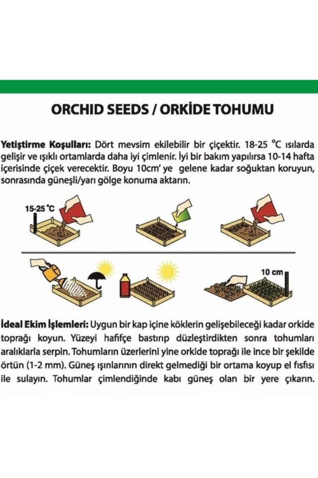 100 Adet 10 Farklı Renk Karışık Orkide Çiçeği Tohumu + 10 Adet Hediye K.renk Zambak Çiçek Tohumu