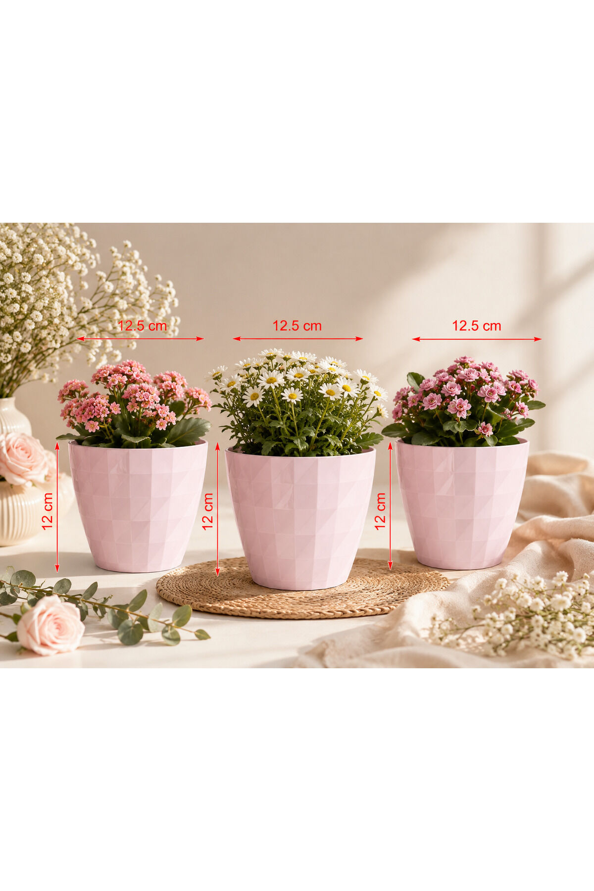 3 adet dekoratif gülkurusu saksı 12 cm