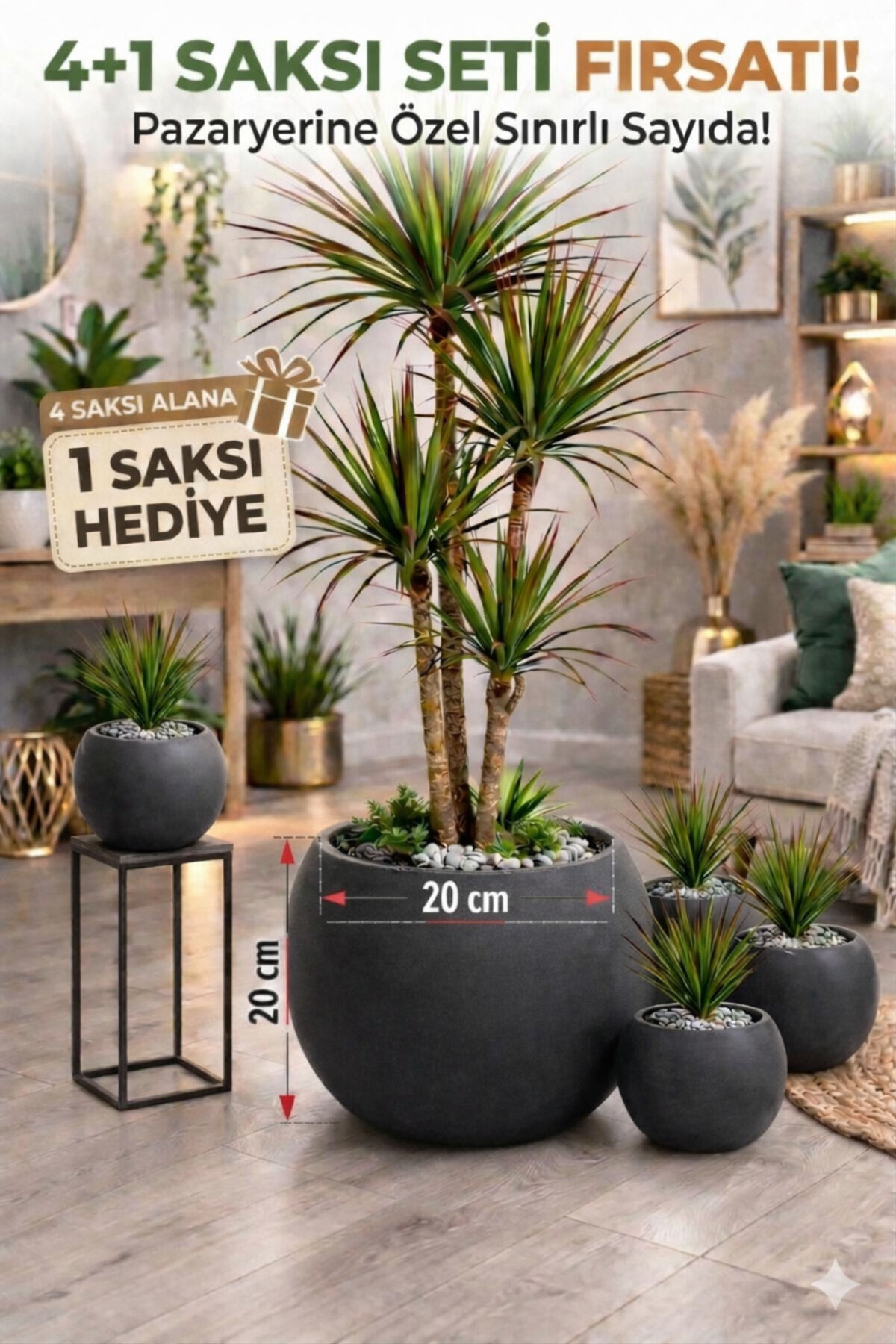 Salon Saksı 20 cm Antrasit 4 Alana 1 Bedava Küre Saksı -İçliksiz