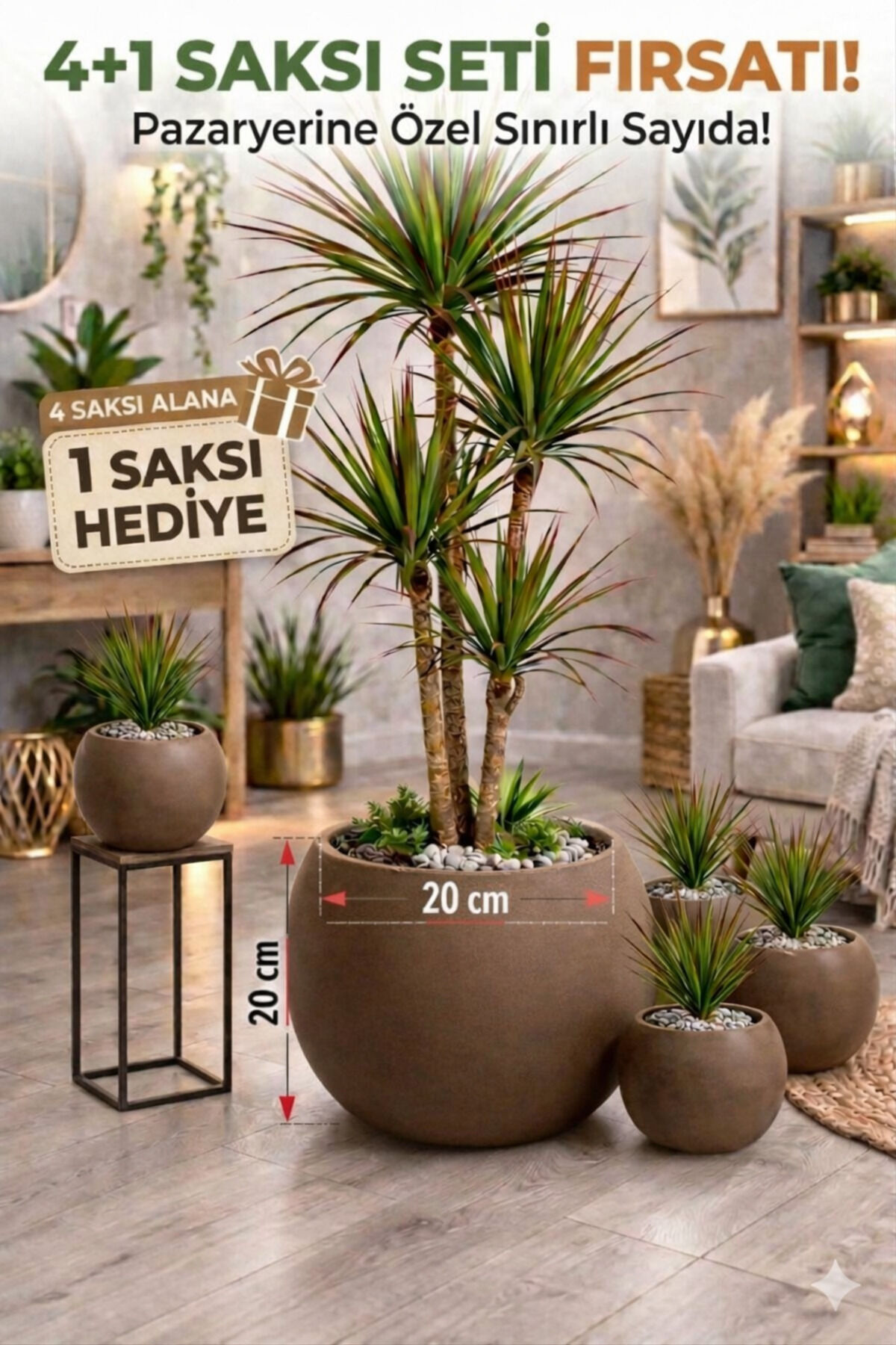 Salon Saksı 20 cm Mocha 4 Alana 1 Bedava Küre Saksı -İçliksiz