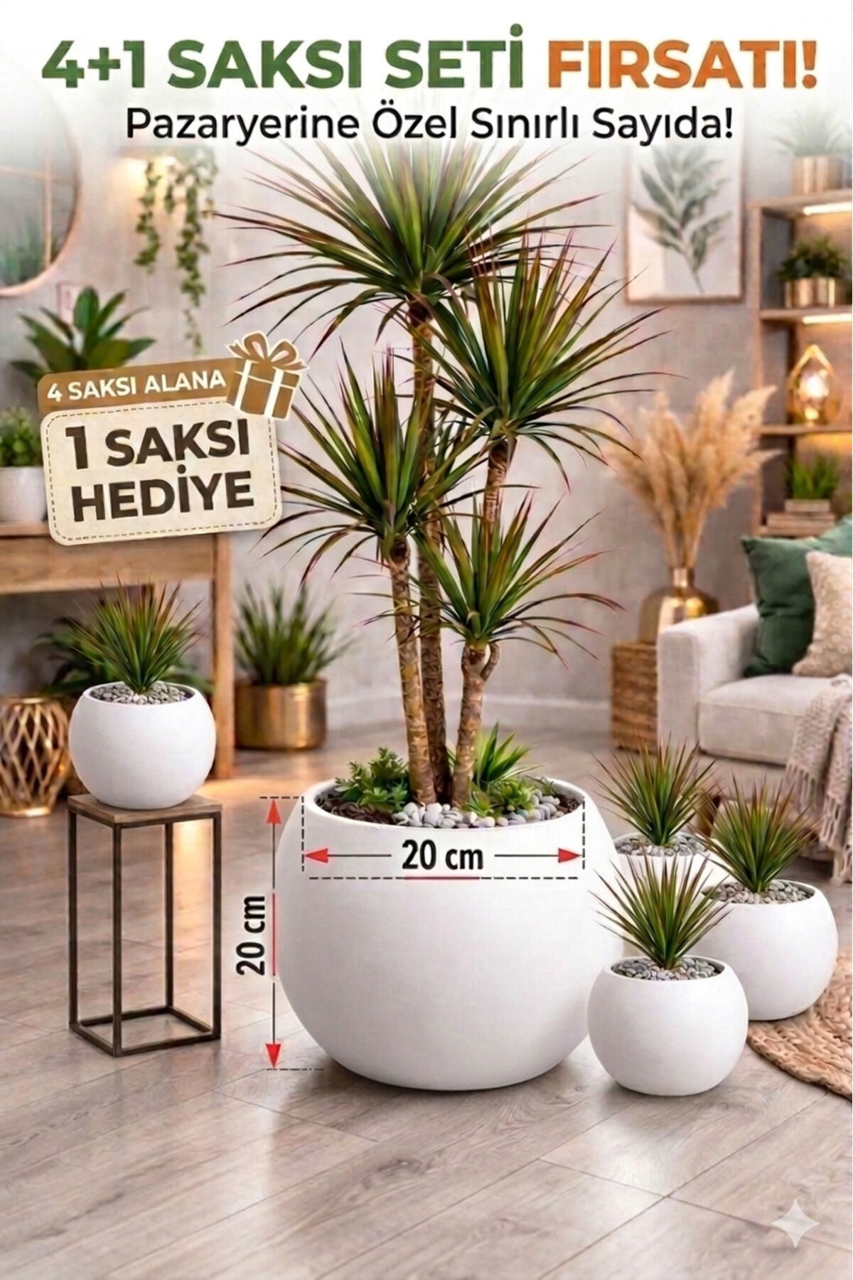 Salon Saksı 20 cm Beyaz 4 Alana 1 Bedava Küre Saksı -İçliksiz
