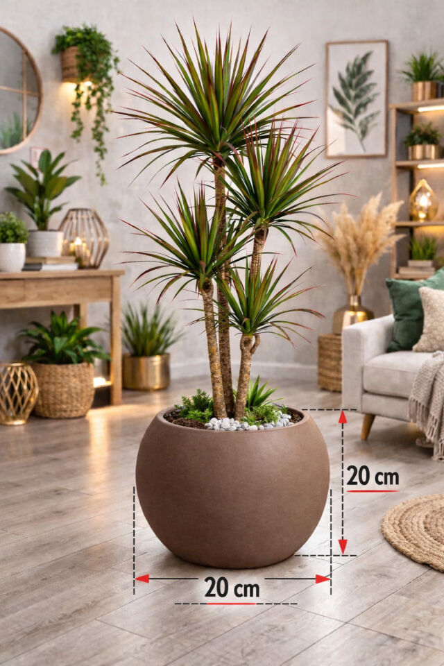 Salon Saksı 2 Lİ Saksı Küre Model Saksı 20 cm 9 Litre Beyaz ve Mocha - Süpriz hediyeli -İçliksiz