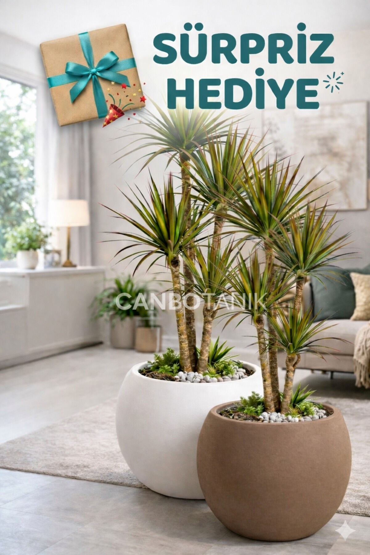 Salon Saksı 2 Lİ Saksı Küre Model Saksı 20 cm 9 Litre Beyaz ve Mocha - Süpriz hediyeli -İçliksiz