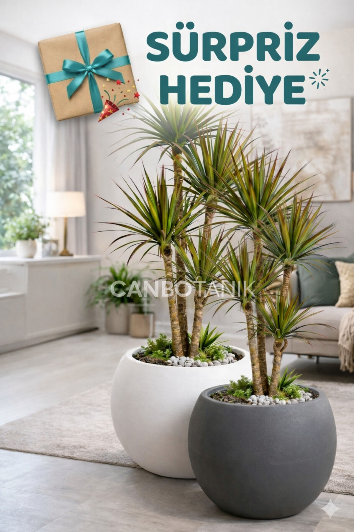 Salon Saksı 2 Lİ Saksı Küre Model Saksı 20 cm 9 Litre Antrasit ve Beyaz- Süpriz hediyeli -İçliksiz
