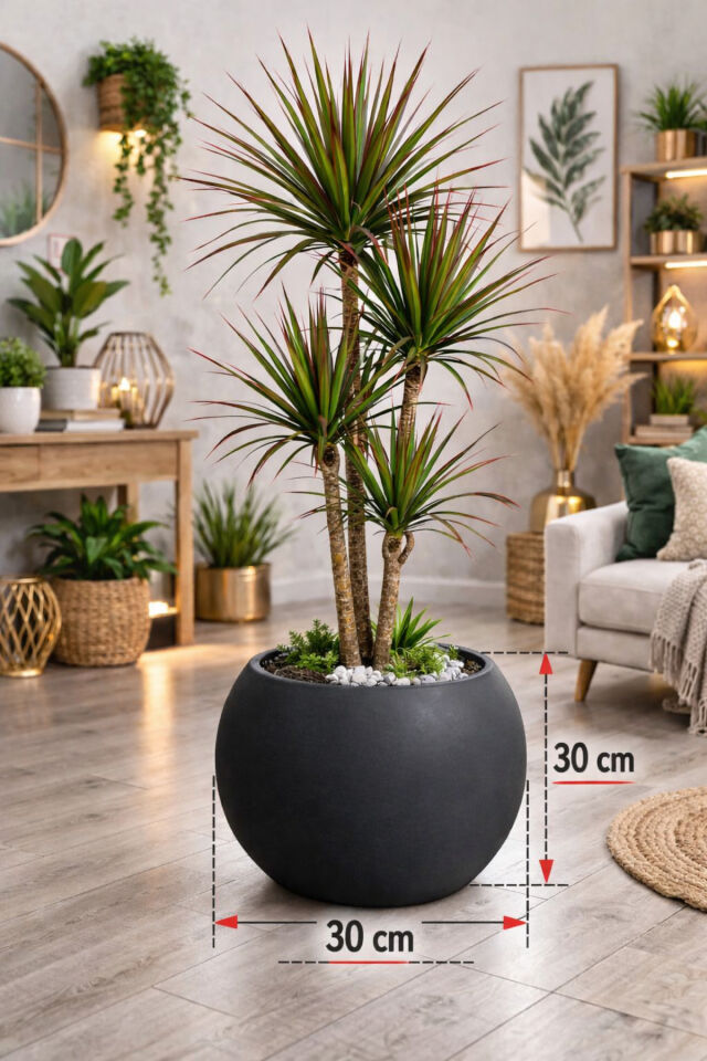 Yuvarlak Saksı Salon Saksı 30 cm Boş saksı plastik çiçek saksısı saksı küre saksı antrasit