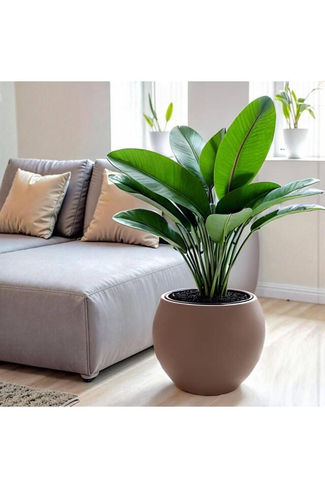 Yuvarlak Saksı Salon Saksı 30 cm Boş saksı plastik çiçek saksısı saksı küre saksı mocha