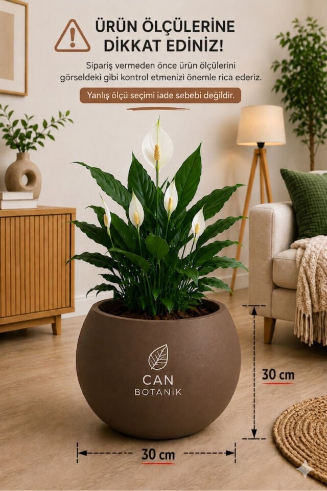 Yuvarlak Saksı Salon Saksı 30 cm Boş saksı plastik çiçek saksısı saksı küre saksı mocha