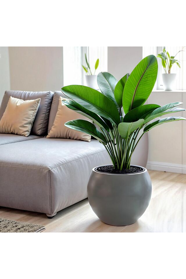 Yuvarlak Saksı Salon Saksı 30 cm Boş saksı plastik çiçek saksısı saksı küre saksı antrasit