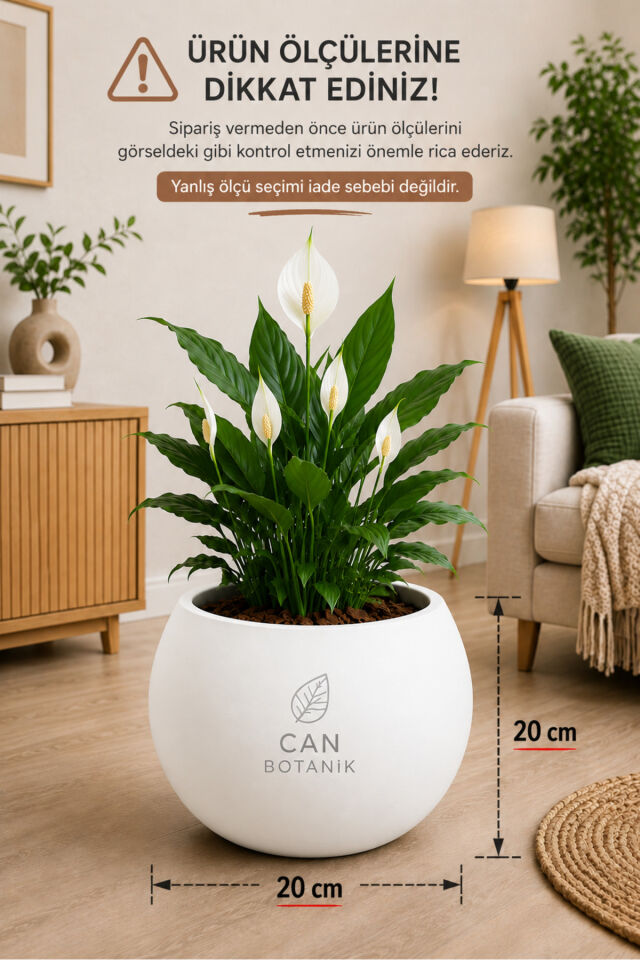 Yuvarlak Küre Saksı 20 Cm Saksı Beyaz Plastik (İÇLİKSİZ) Saksı Çiçek Saksısı
