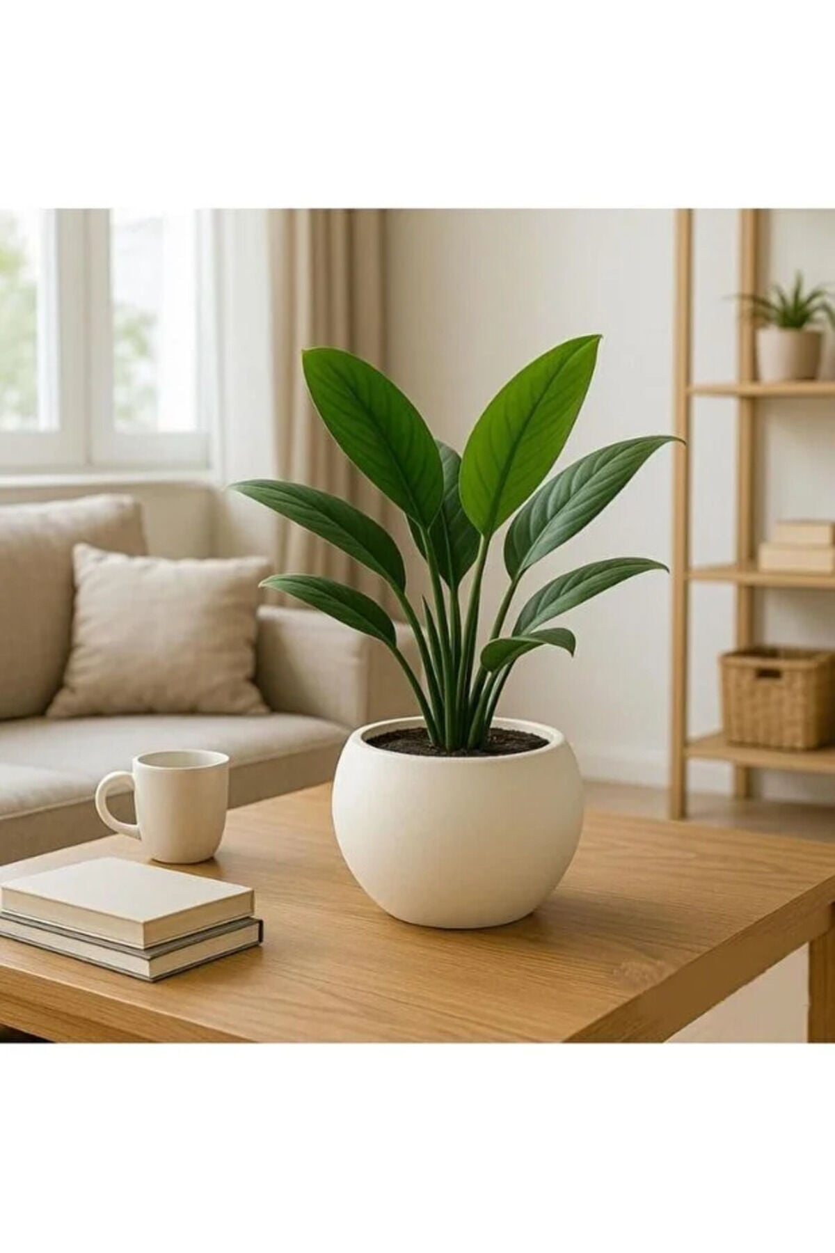 Dekoratif Modern Tasarım 7,5 Litre Küre Saksı Dekoratif Çiçeklik Beyaz Renk Hazneli