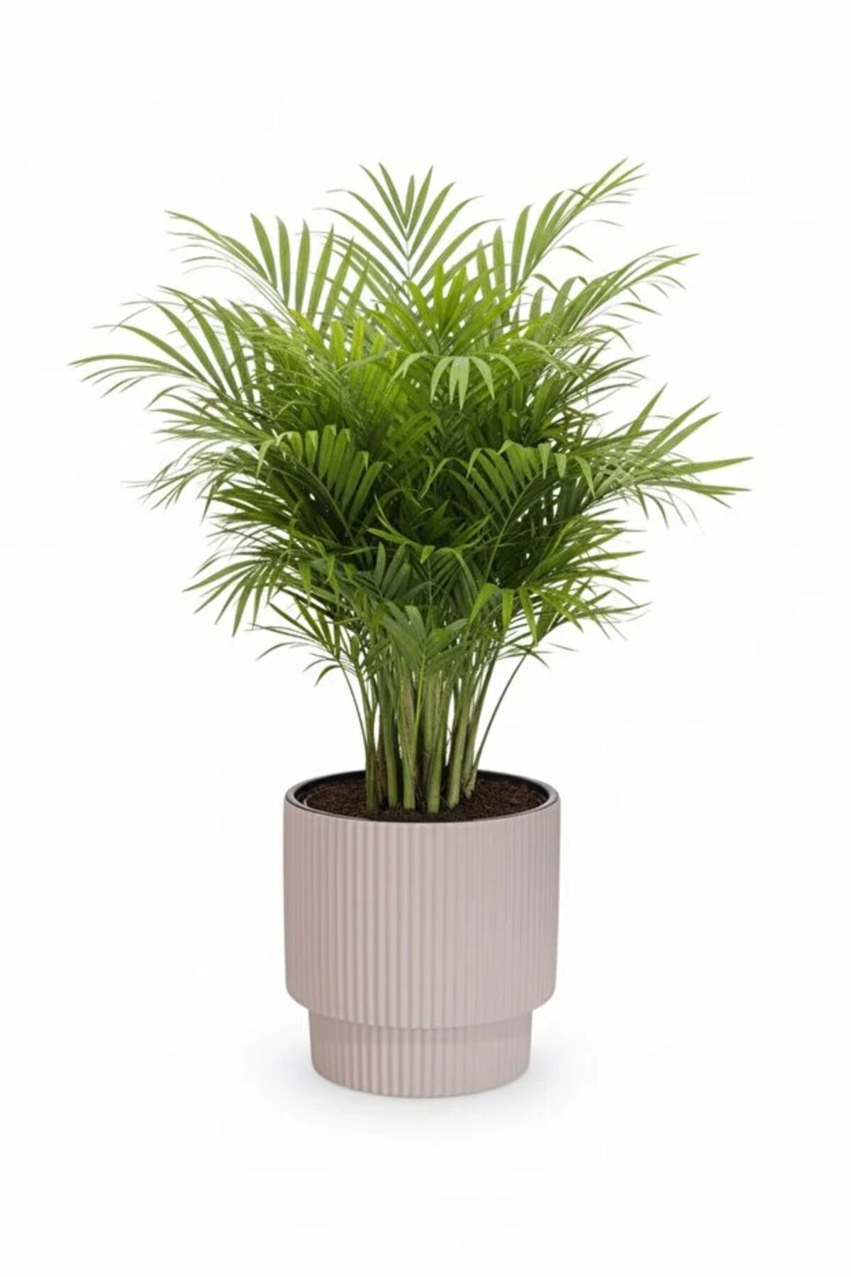 Vega Model Büyük Dekoratif Modern Saksı Ve Vazo 20 Lt ( 31,5 Cm X 32 Cm ) İçsiz