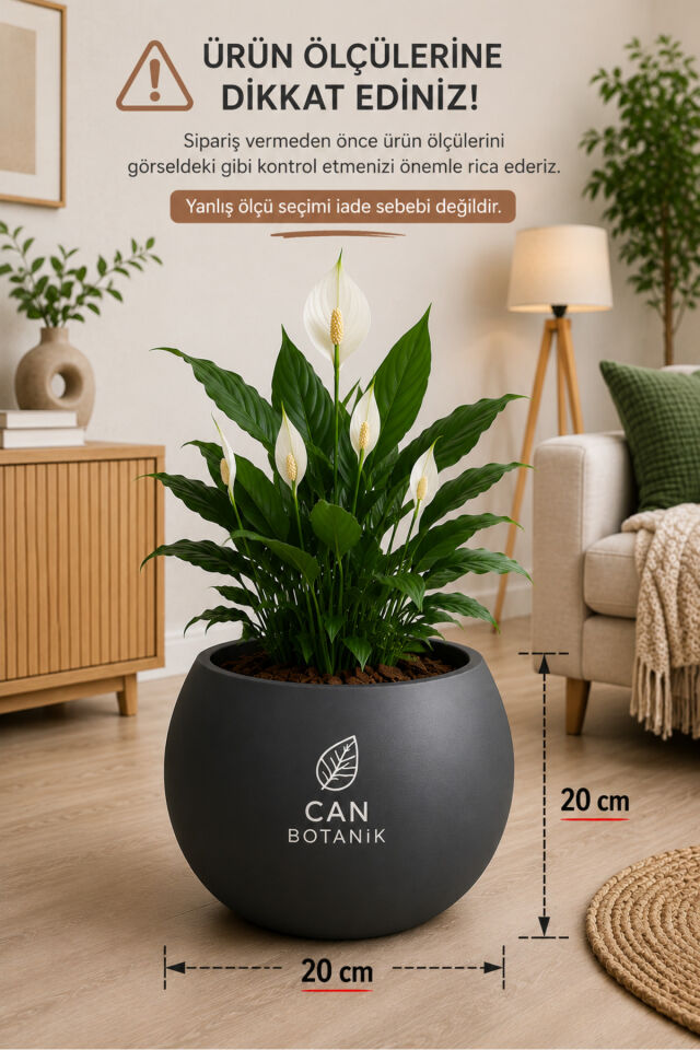 Antrasit küre saksı 20 cm dekoratif salon Saksısı (İÇLİKSİZ) Siyah