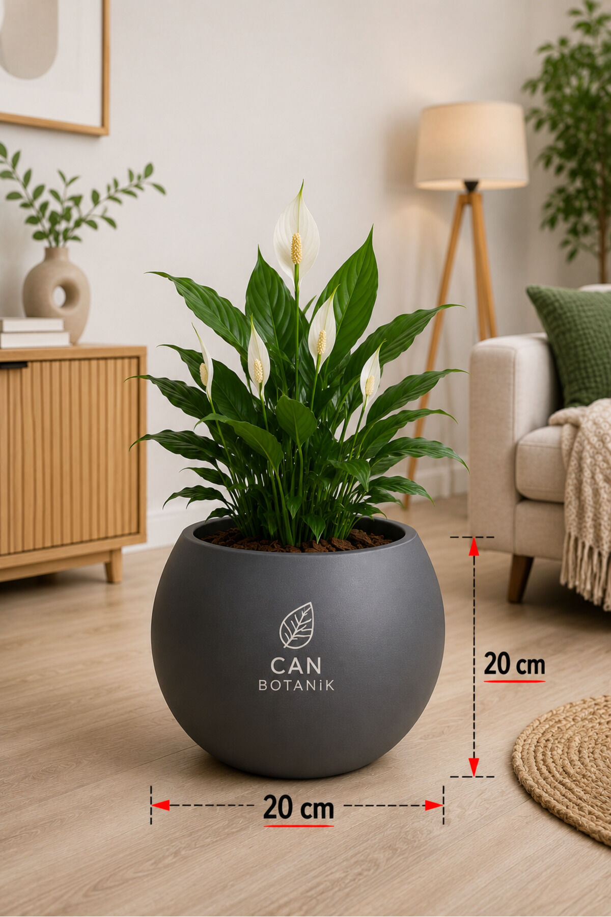 Antrasit küre saksı 20 cm dekoratif salon Saksısı (İÇLİKSİZ) Bej