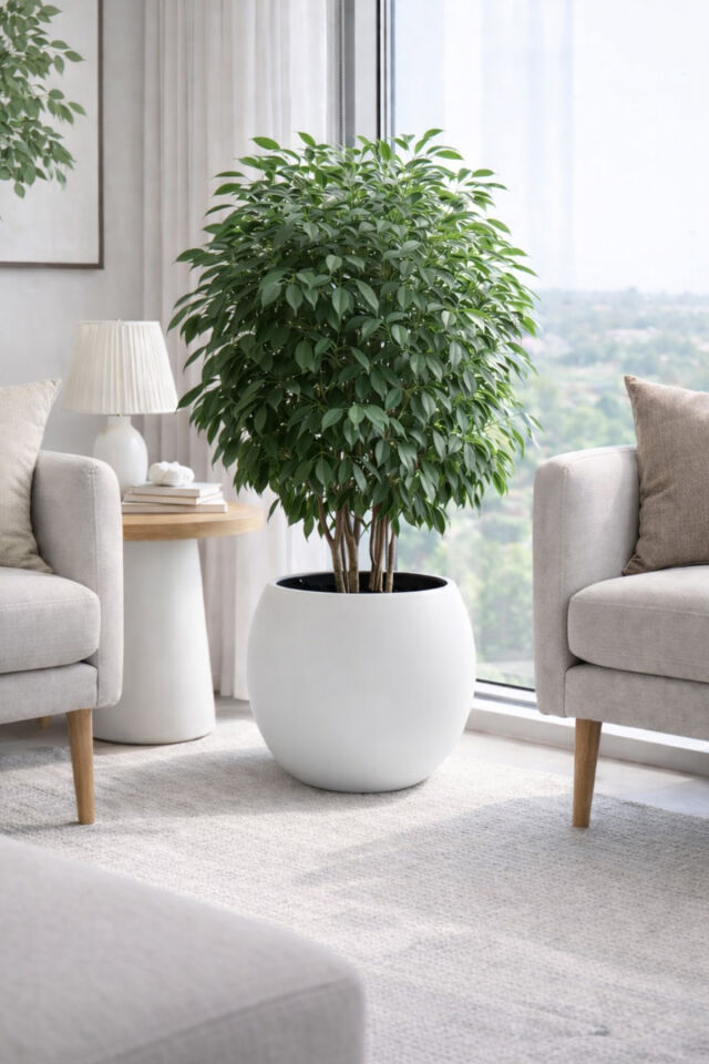 Küre Model İç Drenaj Hazneli Dekoratif Modern Saksı 27,5 lt Antrasit Beyaz