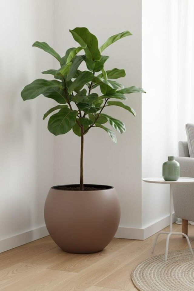 Küre Model İç Drenaj Hazneli Dekoratif Modern Saksı 27,5 lt Antrasit Mocha
