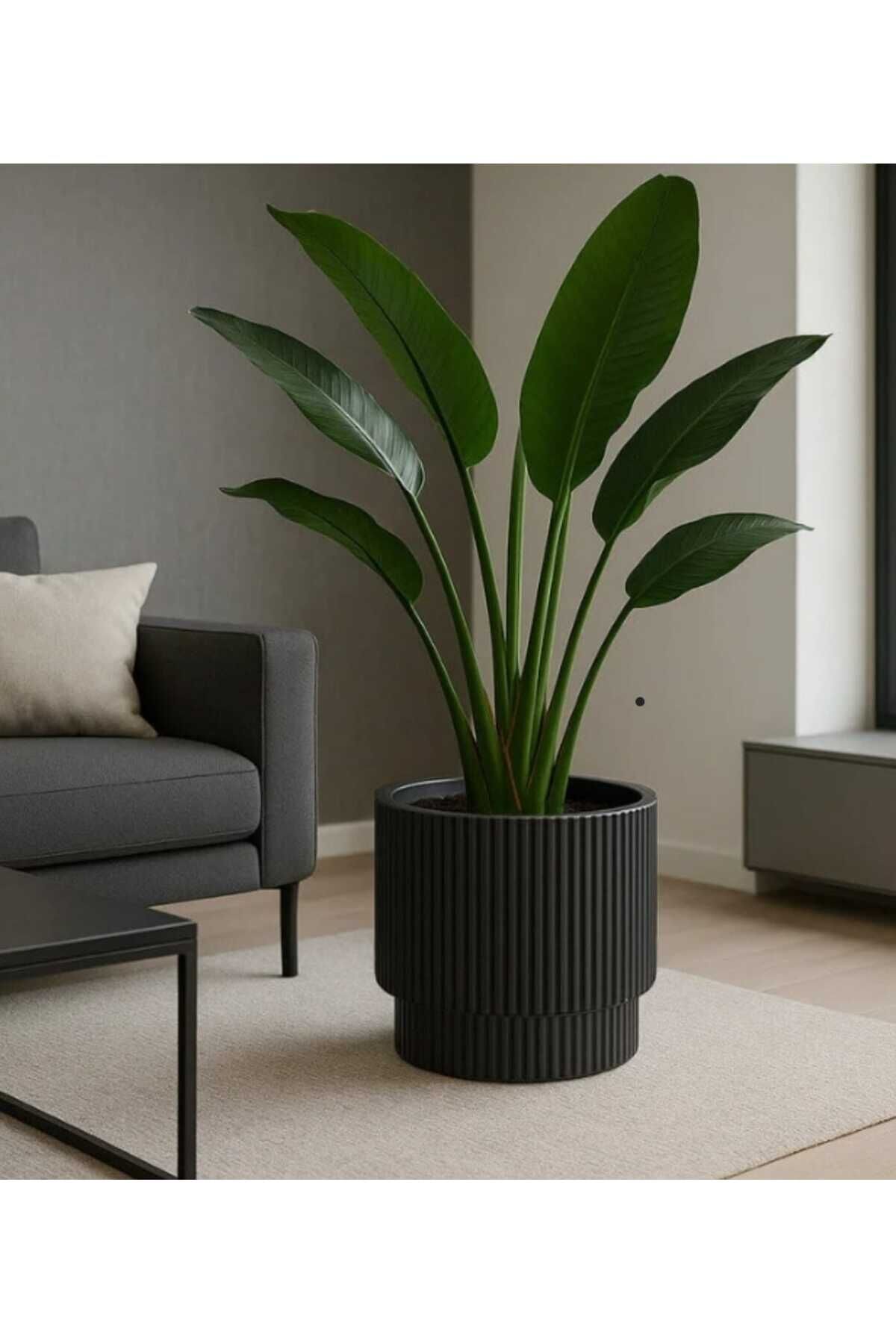 Vega Model Büyük Dekoratif Modern Saksı Ve Vazo 30 Lt ( 36.6 Cm X 36.6 Cm ) Iç Hazneli Siyah
